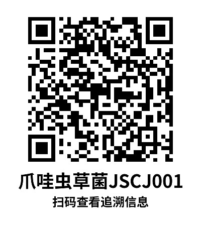 简单标签