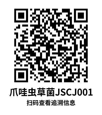 简单标签