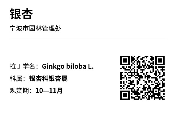 资产标签