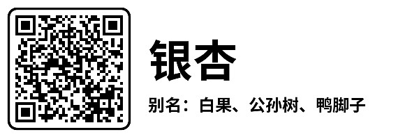 横版7
