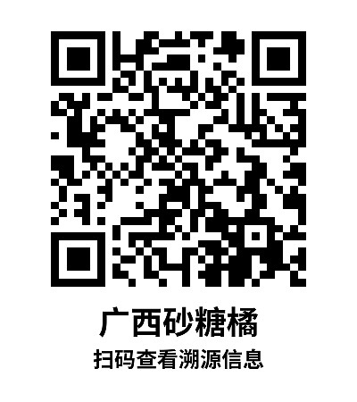 简单标签